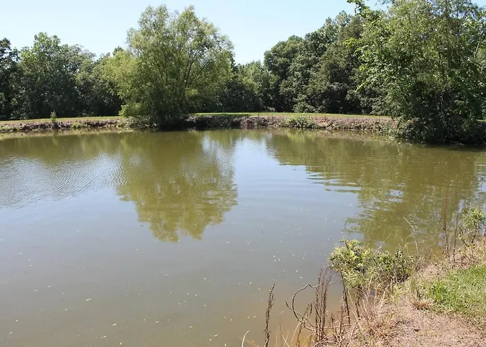 Lodge Pond View Loft - Screen Porch, Fire Pit & Fishing Mcleansboro